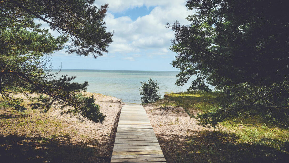 Wooden path leading to the sea through trees